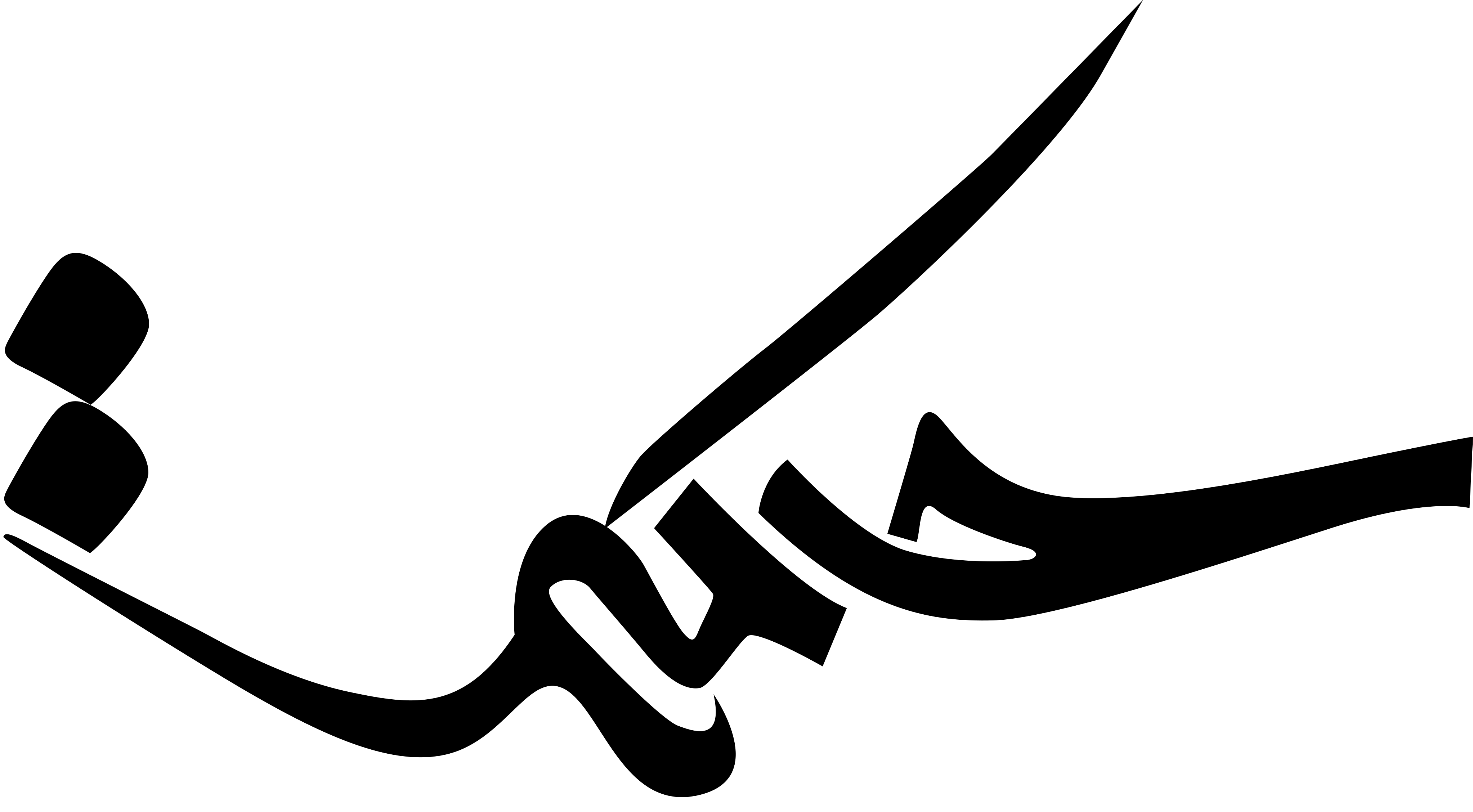 چرم حکمت